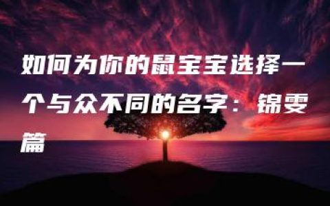 如何为你的鼠宝宝选择一个与众不同的名字：锦雯篇