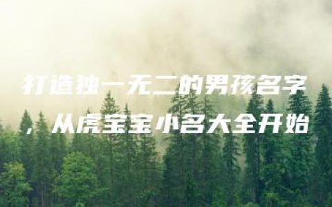 打造独一无二的男孩名字，从虎宝宝小名大全开始