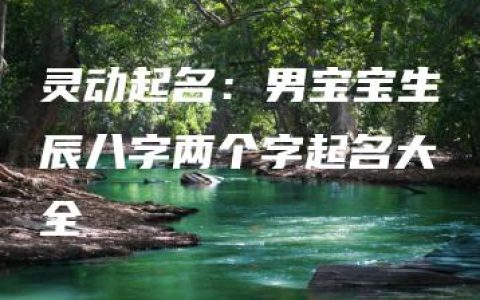 灵动起名：男宝宝生辰八字两个字起名大全