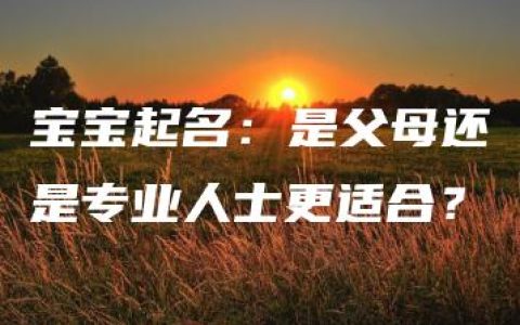 宝宝起名：是父母还是专业人士更适合？