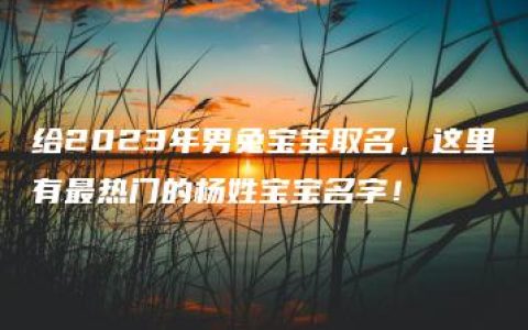 给2023年男兔宝宝取名，这里有最热门的杨姓宝宝名字！