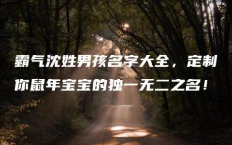 霸气沈姓男孩名字大全，定制你鼠年宝宝的独一无二之名！