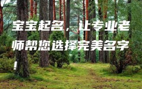 宝宝起名，让专业老师帮您选择完美名字！