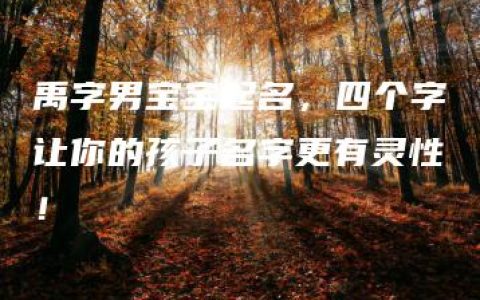 禹字男宝宝起名，四个字让你的孩子名字更有灵性！