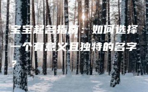 宝宝起名指南：如何选择一个有意义且独特的名字？