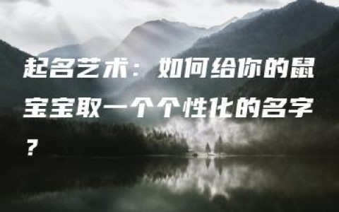 起名艺术：如何给你的鼠宝宝取一个个性化的名字？