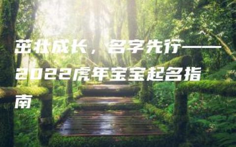 茁壮成长，名字先行——2022虎年宝宝起名指南