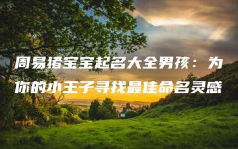 周易猪宝宝起名大全男孩：为你的小王子寻找最佳命名灵感