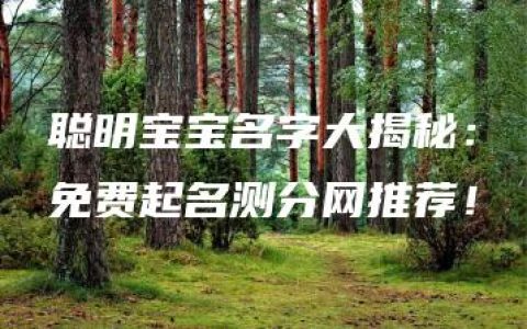 聪明宝宝名字大揭秘：免费起名测分网推荐！