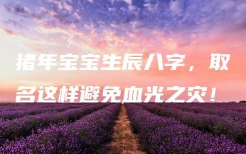 猪年宝宝生辰八字，取名这样避免血光之灾！