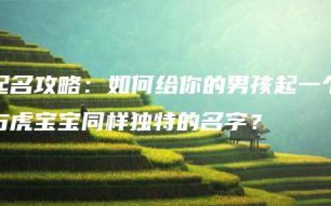 起名攻略：如何给你的男孩起一个与虎宝宝同样独特的名字？