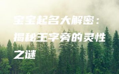 宝宝起名大解密：揭秘王字旁的灵性之谜