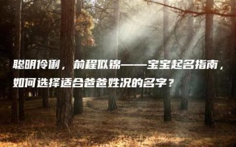 聪明伶俐，前程似锦——宝宝起名指南，如何选择适合爸爸姓况的名字？