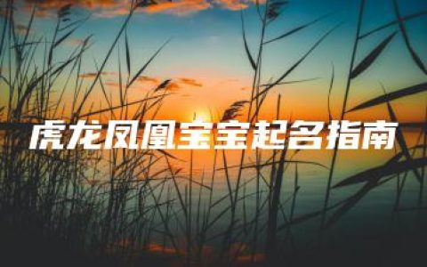 虎龙凤凰宝宝起名指南