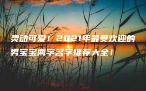 灵动可爱！2021年最受欢迎的男宝宝两字名字推荐大全！