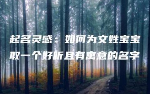 起名灵感：如何为文姓宝宝取一个好听且有寓意的名字