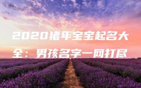 2020猪年宝宝起名大全：男孩名字一网打尽