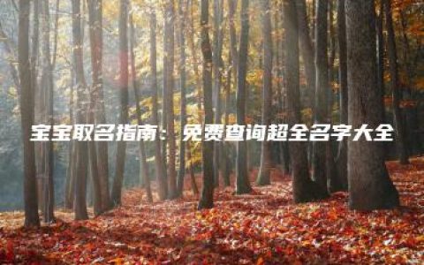 宝宝取名指南：免费查询超全名字大全