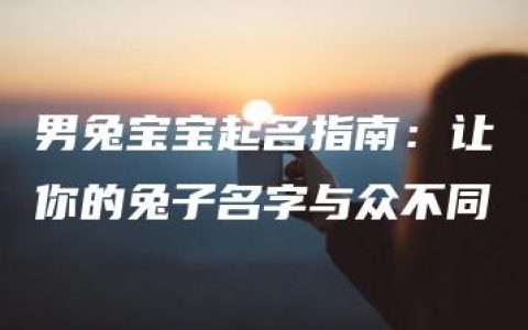 男兔宝宝起名指南：让你的兔子名字与众不同