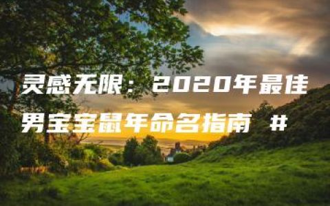 灵感无限：2020年最佳男宝宝鼠年命名指南 #