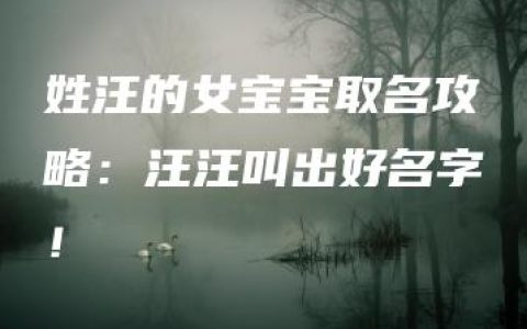 姓汪的女宝宝取名攻略：汪汪叫出好名字！