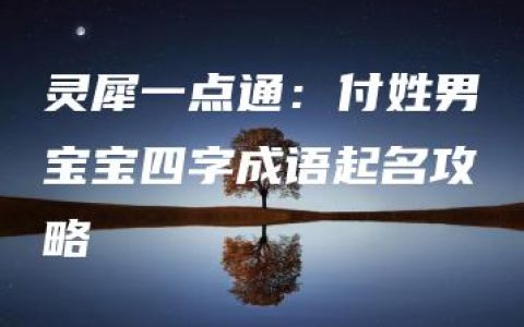 灵犀一点通：付姓男宝宝四字成语起名攻略