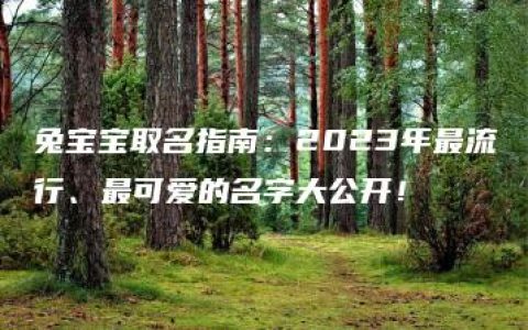 兔宝宝取名指南：2023年最流行、最可爱的名字大公开！