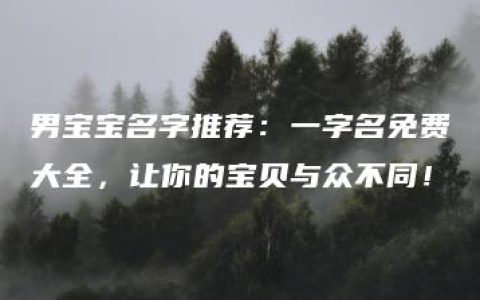 男宝宝名字推荐：一字名免费大全，让你的宝贝与众不同！