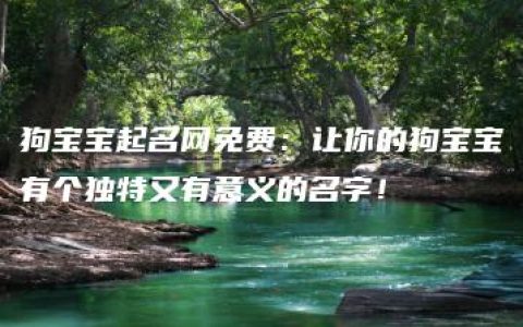 狗宝宝起名网免费：让你的狗宝宝有个独特又有意义的名字！