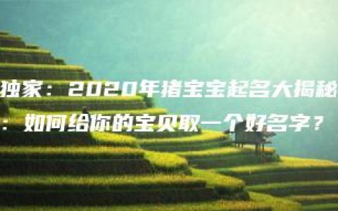 独家：2020年猪宝宝起名大揭秘：如何给你的宝贝取一个好名字？