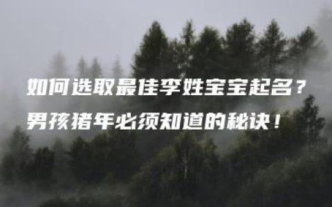 如何选取最佳李姓宝宝起名？男孩猪年必须知道的秘诀！