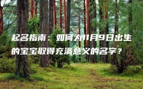 起名指南：如何为11月9日出生的宝宝取得充满意义的名字？