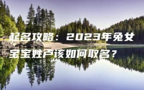 起名攻略：2023年兔女宝宝姓卢该如何取名？