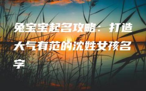 兔宝宝起名攻略：打造大气有范的沈姓女孩名字