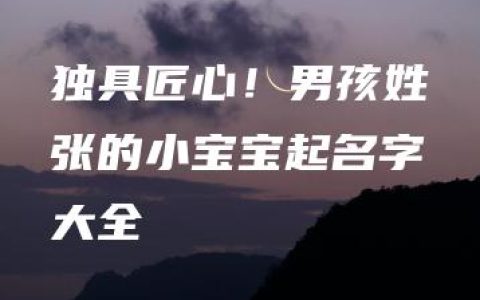 独具匠心！男孩姓张的小宝宝起名字大全