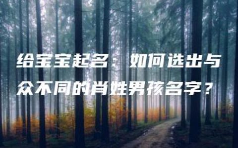 给宝宝起名：如何选出与众不同的肖姓男孩名字？