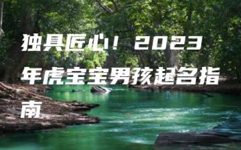 独具匠心！2023年虎宝宝男孩起名指南