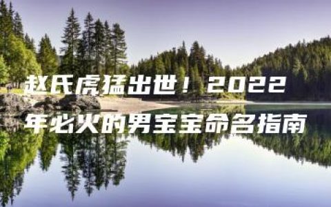 赵氏虎猛出世！2022年必火的男宝宝命名指南