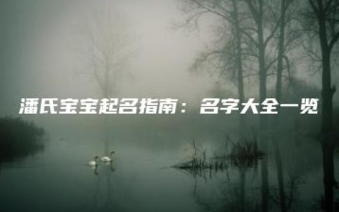 潘氏宝宝起名指南：名字大全一览