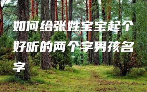 如何给张姓宝宝起个好听的两个字男孩名字