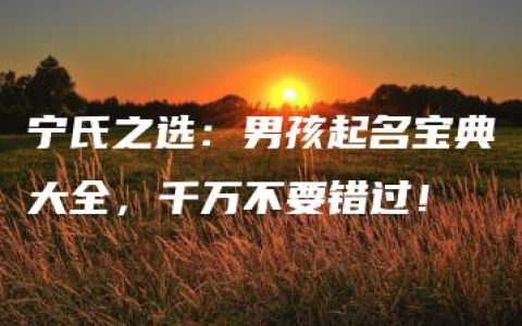 宁氏之选：男孩起名宝典大全，千万不要错过！