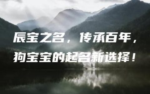 辰宝之名，传承百年，狗宝宝的起名新选择！