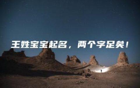 王姓宝宝起名，两个字足矣！