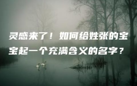 灵感来了！如何给姓张的宝宝起一个充满含义的名字？