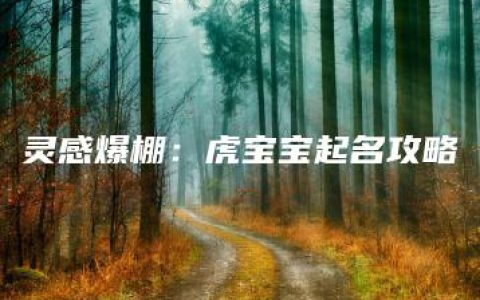 灵感爆棚：虎宝宝起名攻略