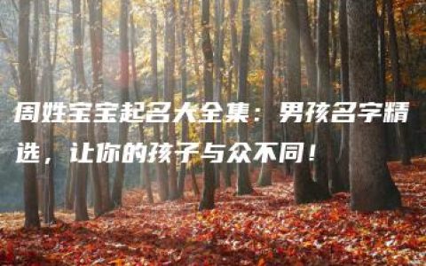 周姓宝宝起名大全集：男孩名字精选，让你的孩子与众不同！