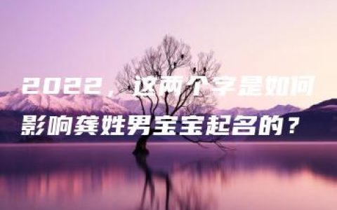 2022，这两个字是如何影响龚姓男宝宝起名的？