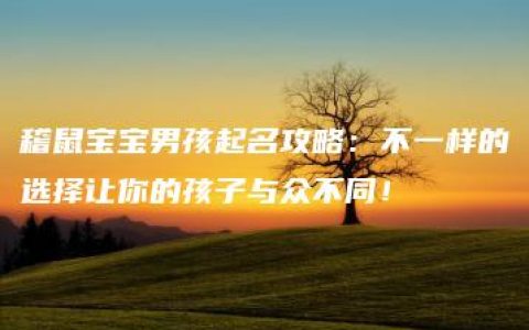 稽鼠宝宝男孩起名攻略：不一样的选择让你的孩子与众不同！