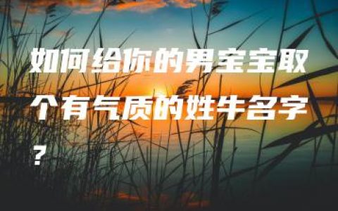 如何给你的男宝宝取个有气质的姓牛名字？