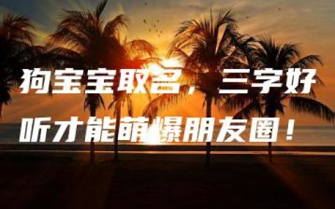 狗宝宝取名，三字好听才能萌爆朋友圈！